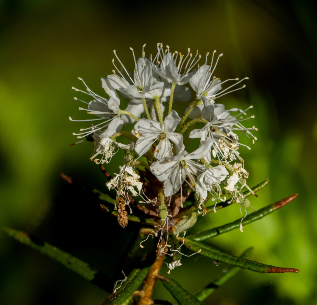 Valokuvaaja: Merja Ollikainen