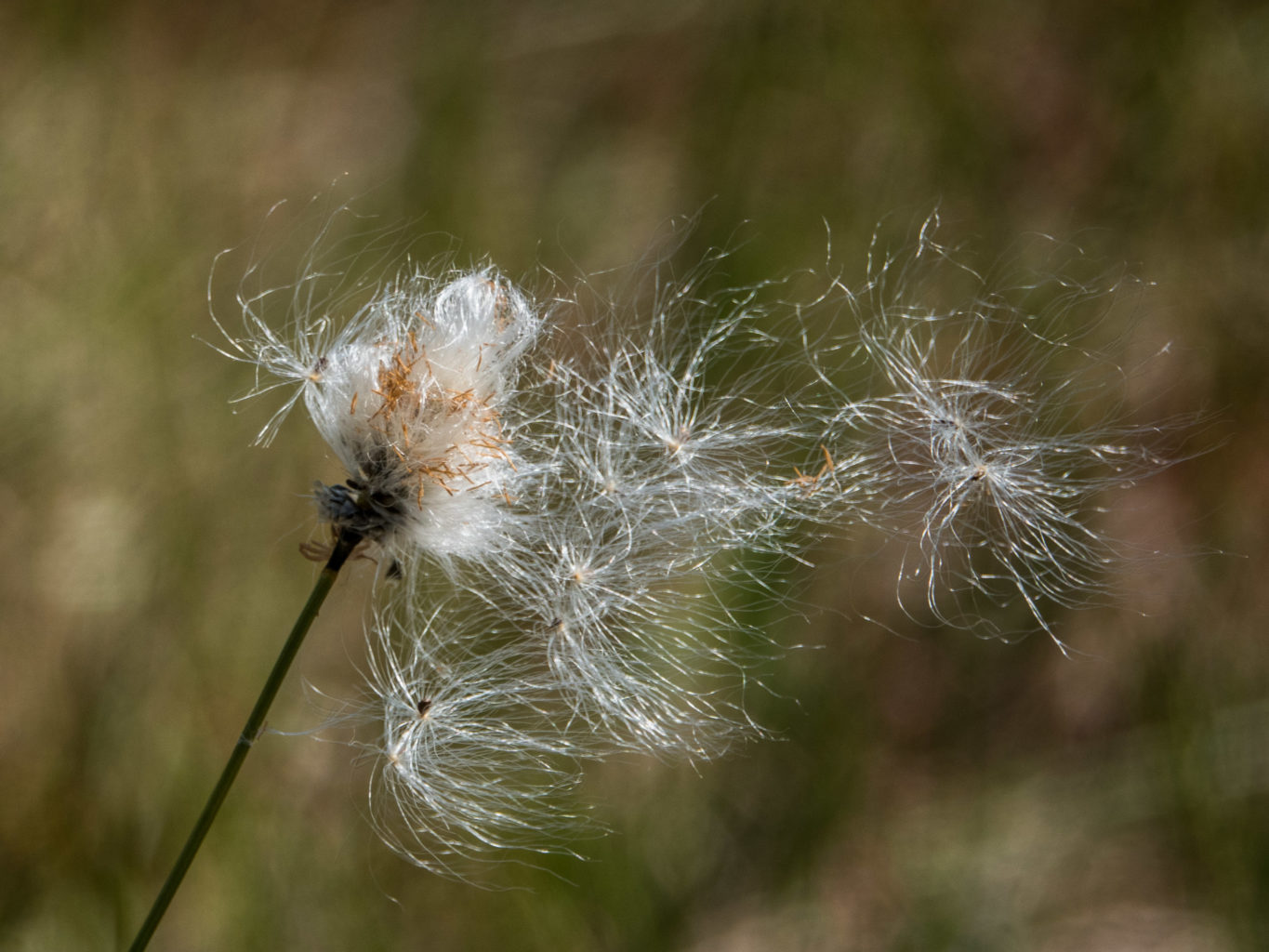 Valokuvaaja: Merja Ollikainen