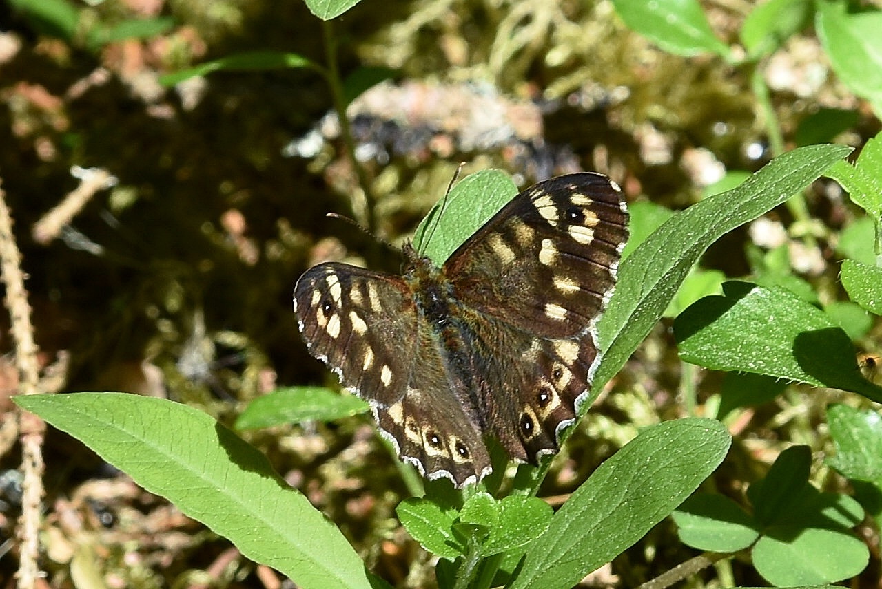 Valokuvaaja: Antti Kaskinen