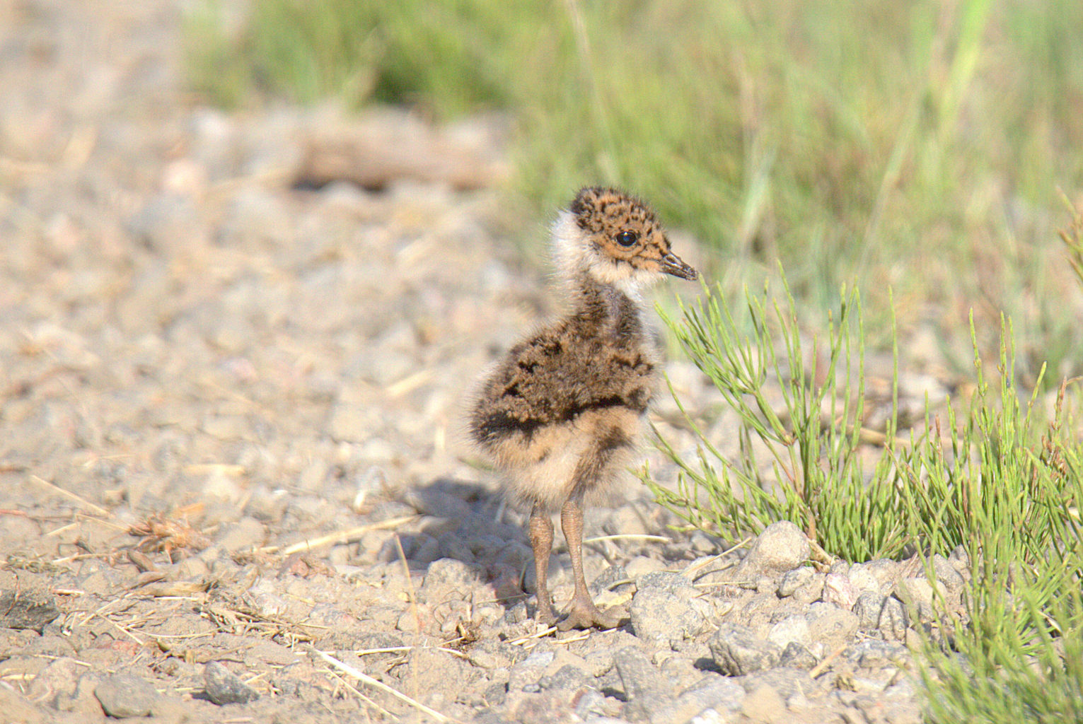 Valokuvaaja: sirpa Jyske