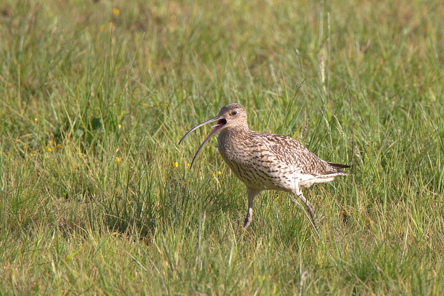 Valokuvaaja: sirpa Jyske