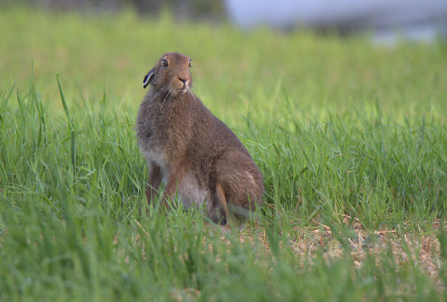 Valokuvaaja: sirpa Jyske