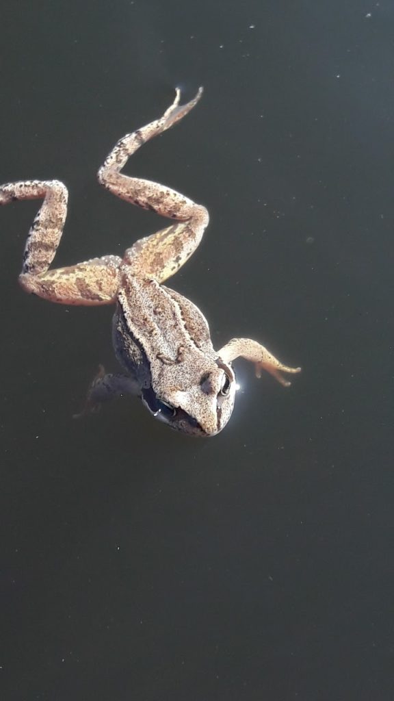 Valokuvaaja: Emilia Saari