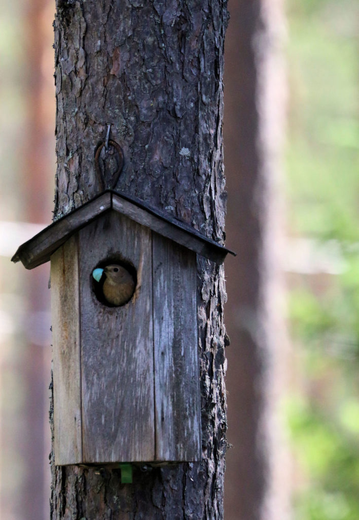 Valokuvaaja: Ahti Keränen