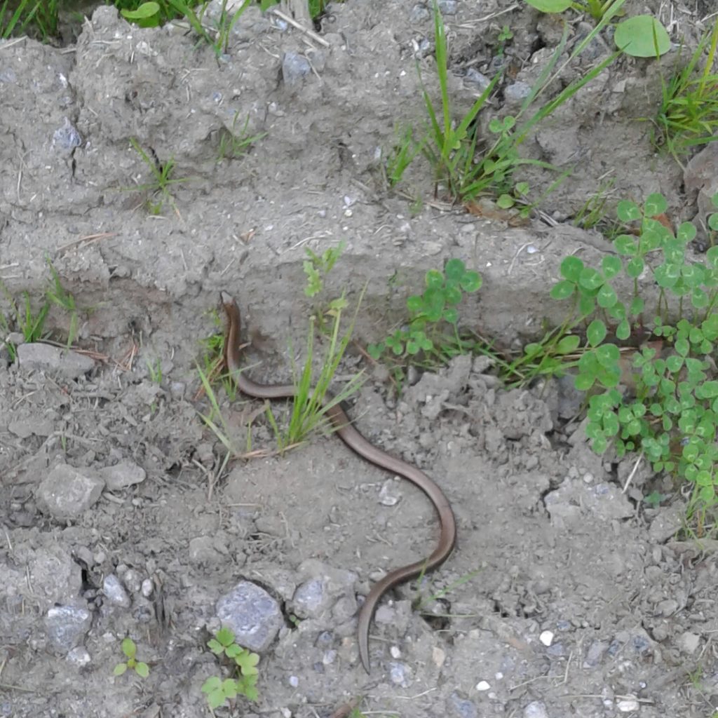 Valokuvaaja: Sinikka Simolin