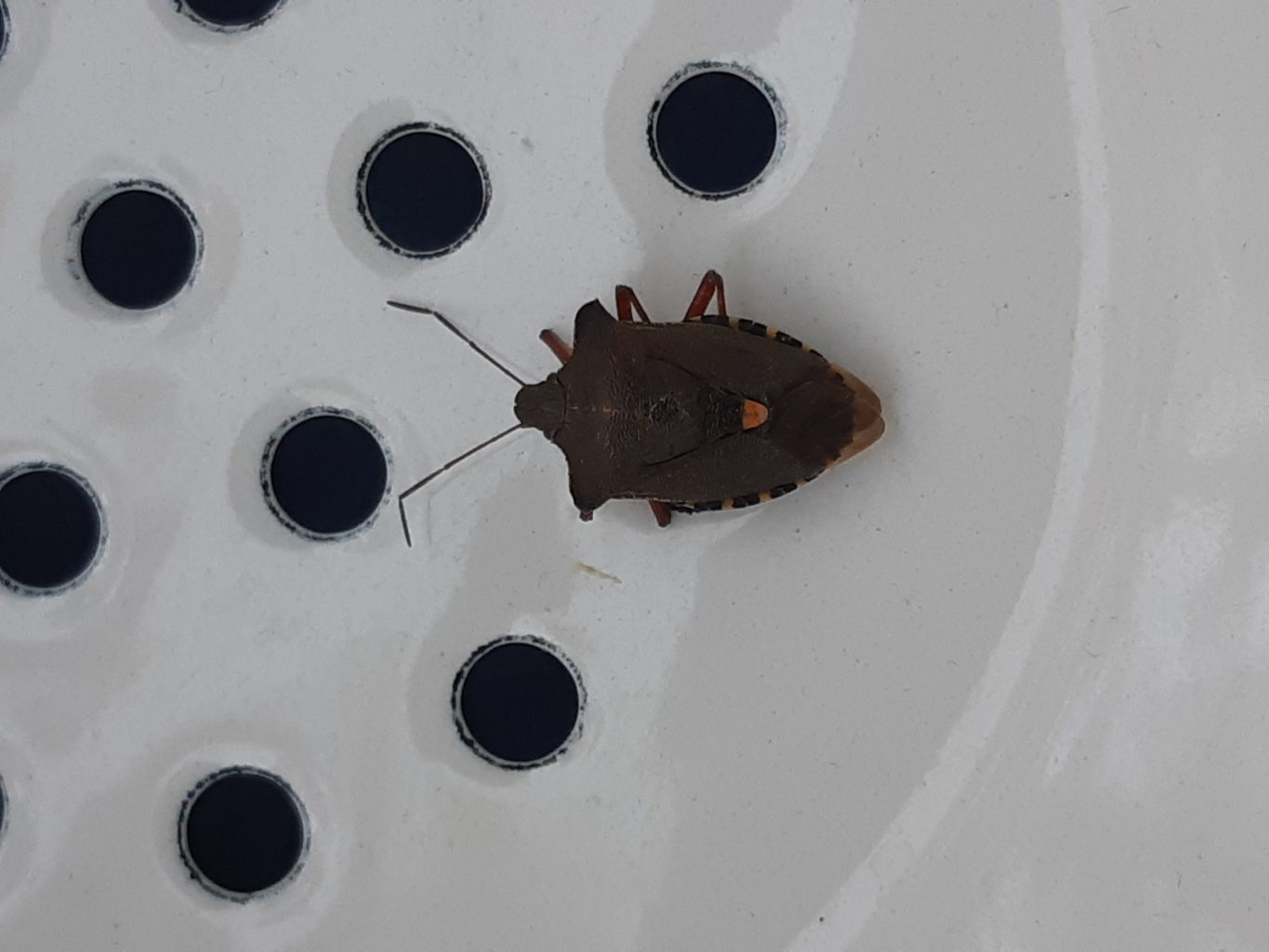 Valokuvaaja: Hannu Mustonen