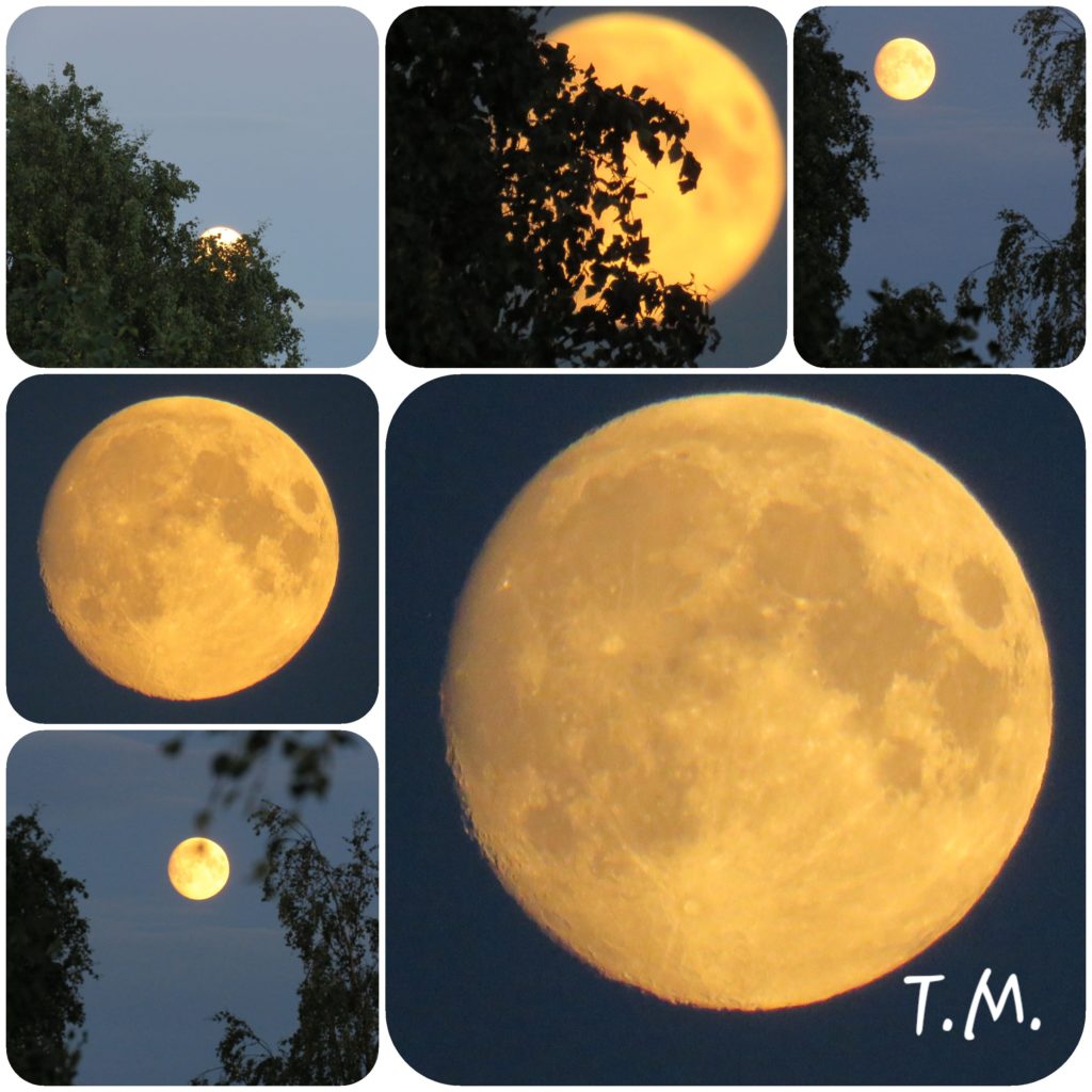 Valokuvaaja: Tuula Makkonen