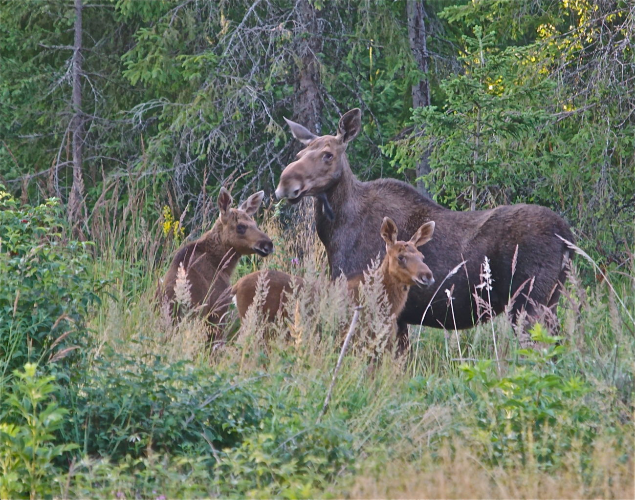 Valokuvaaja: Markku Ranta-Eilola