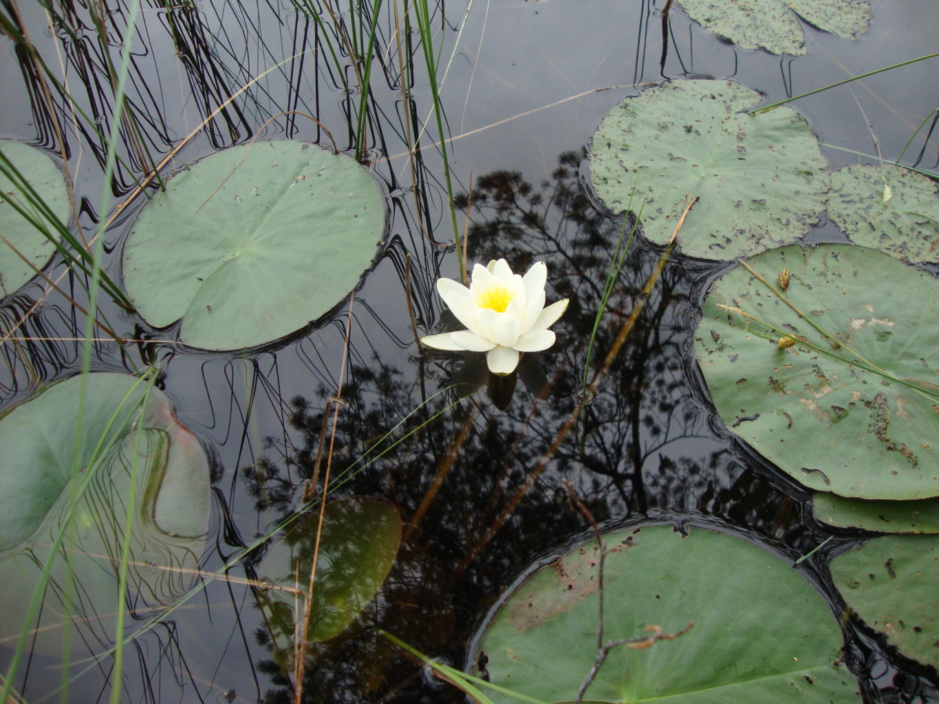 Valokuvaaja: Anja Mustamaa