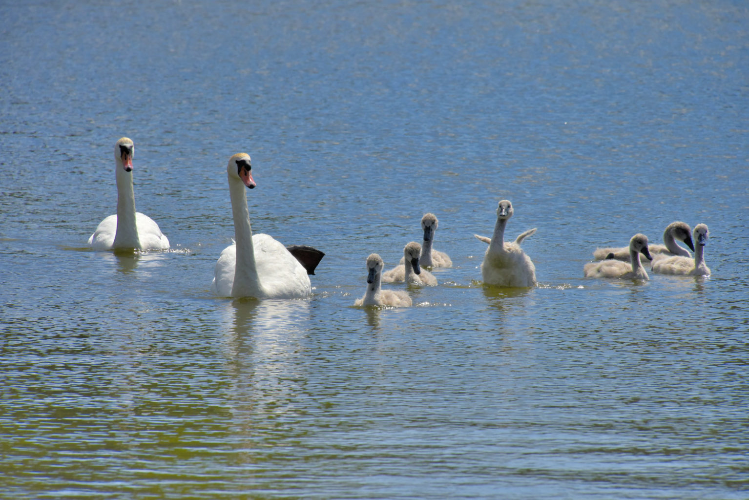 Valokuvaaja: Reijo Juurinen