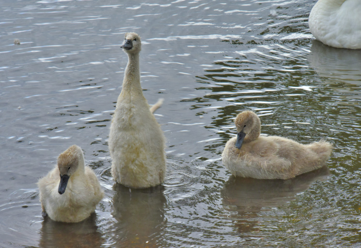 Valokuvaaja: Reijo Juurinen