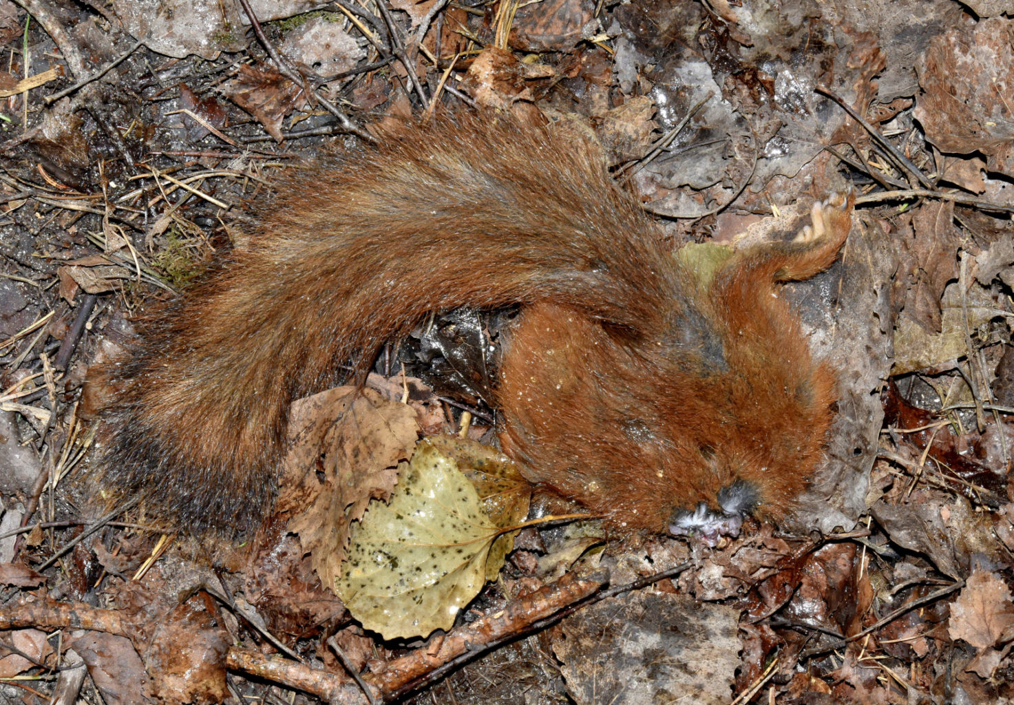 Valokuvaaja: Reijo Juurinen Valokuvaaja: Reijo Juurinen
