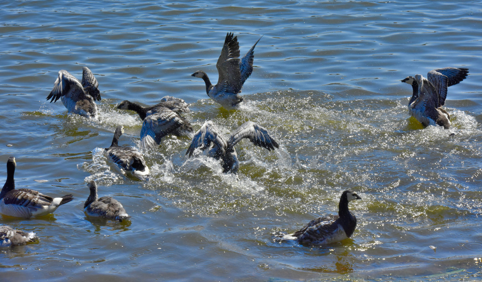 Valokuvaaja: Reijo Juurinen