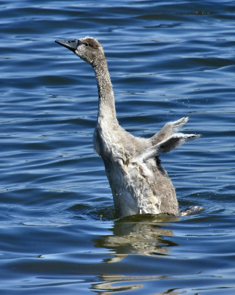 Valokuvaaja: Reijo Juurinen
