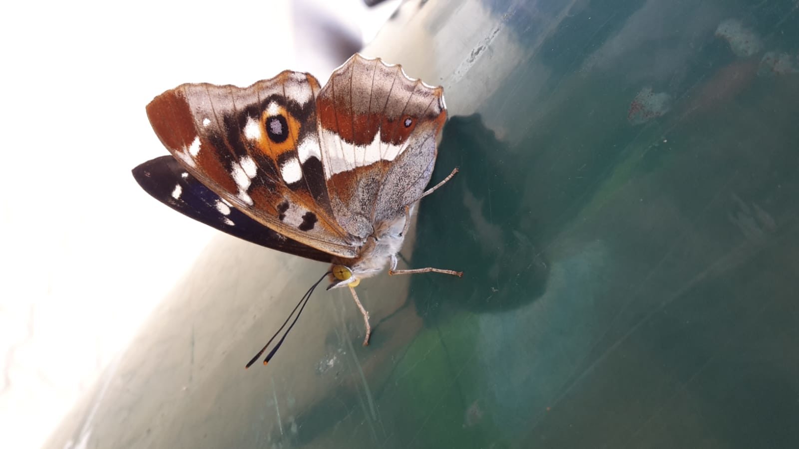 Valokuvaaja: Juho Tirkkonen