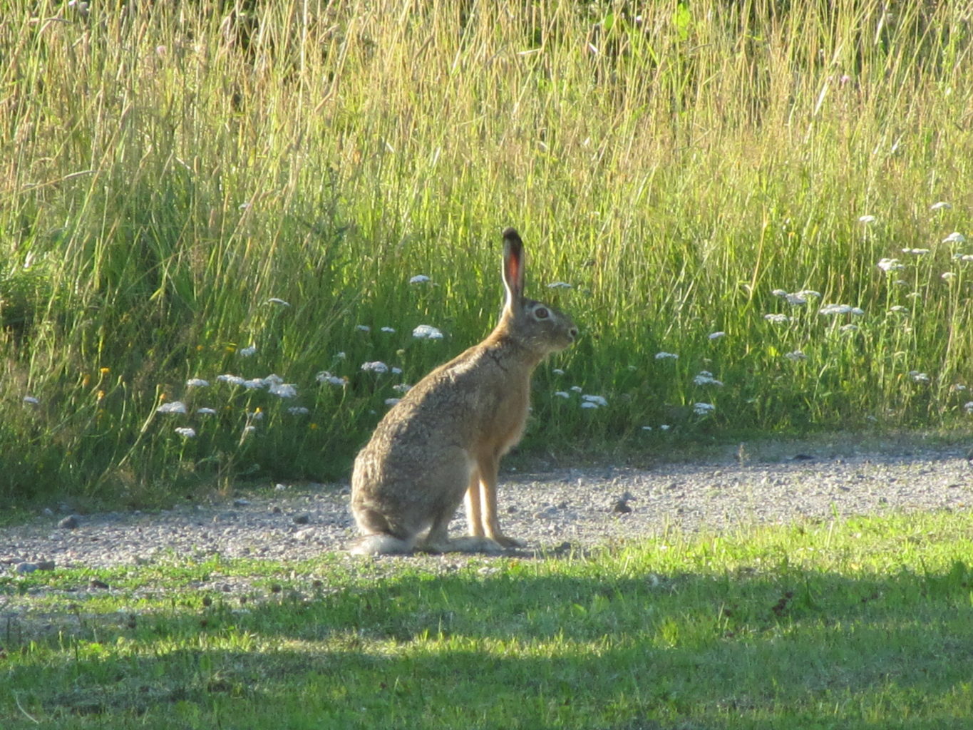 Valokuvaaja: Risto Kangassalo