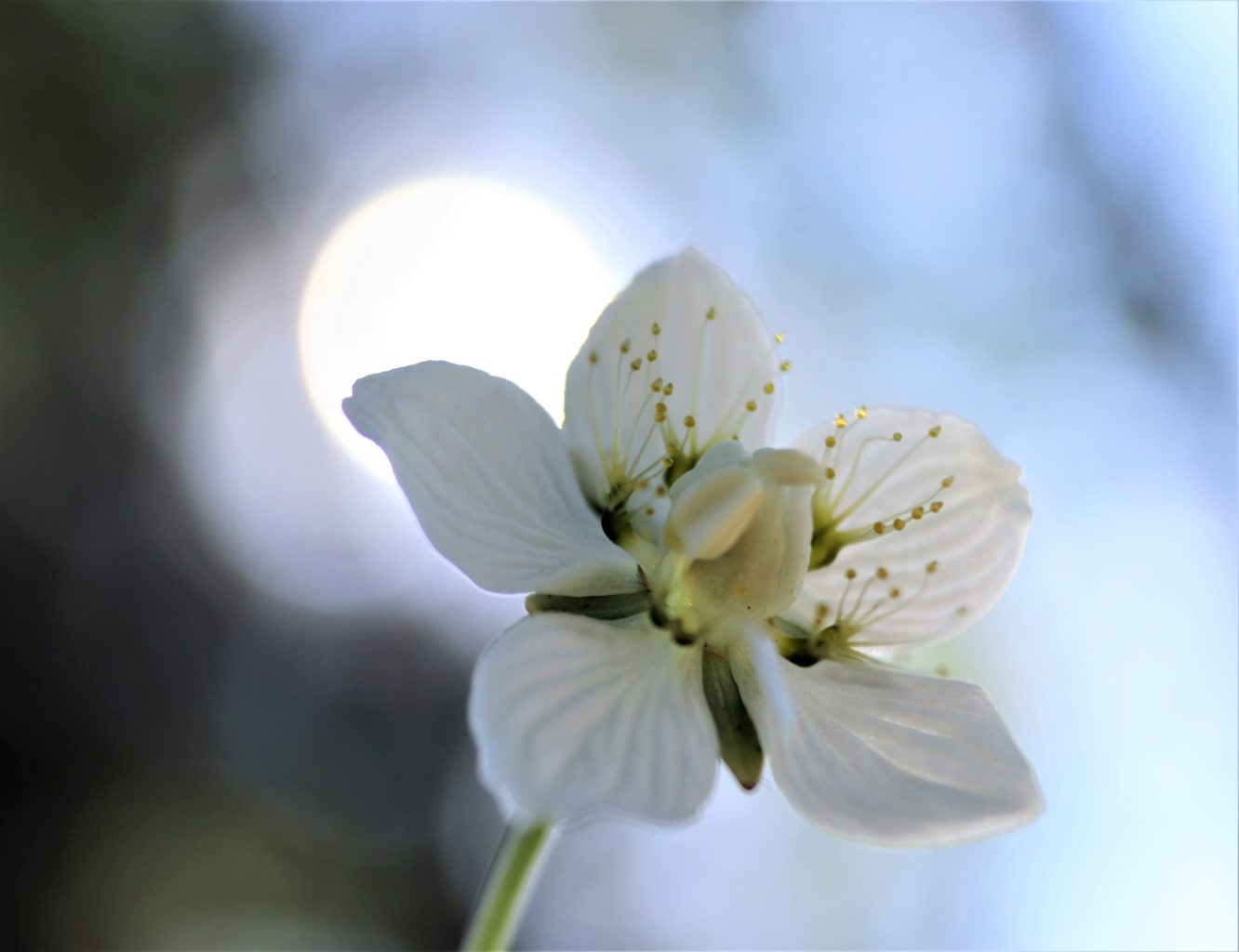 Valokuvaaja: Irja Lehtinen Valokuvaaja: Irja Lehtinen