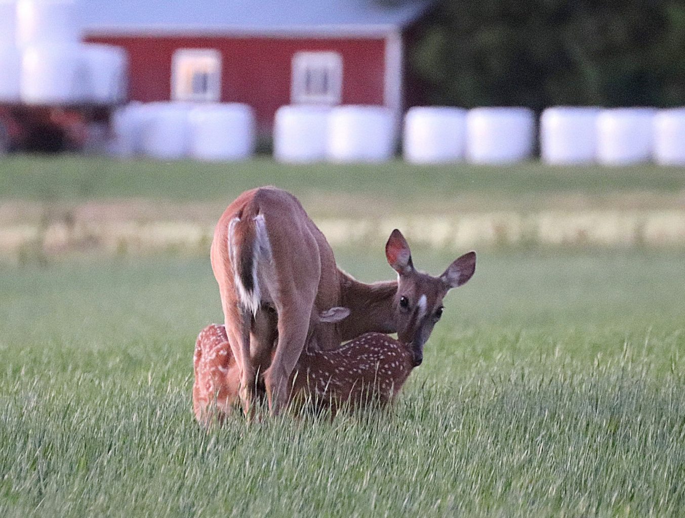 Valokuvaaja: Irja Lehtinen