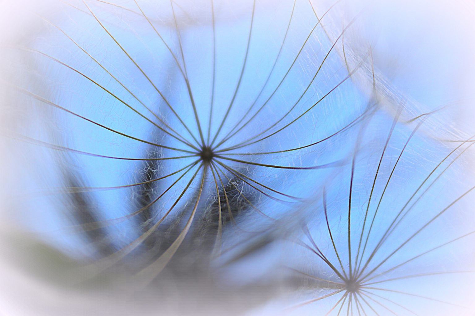 Valokuvaaja: Irja lehtinen