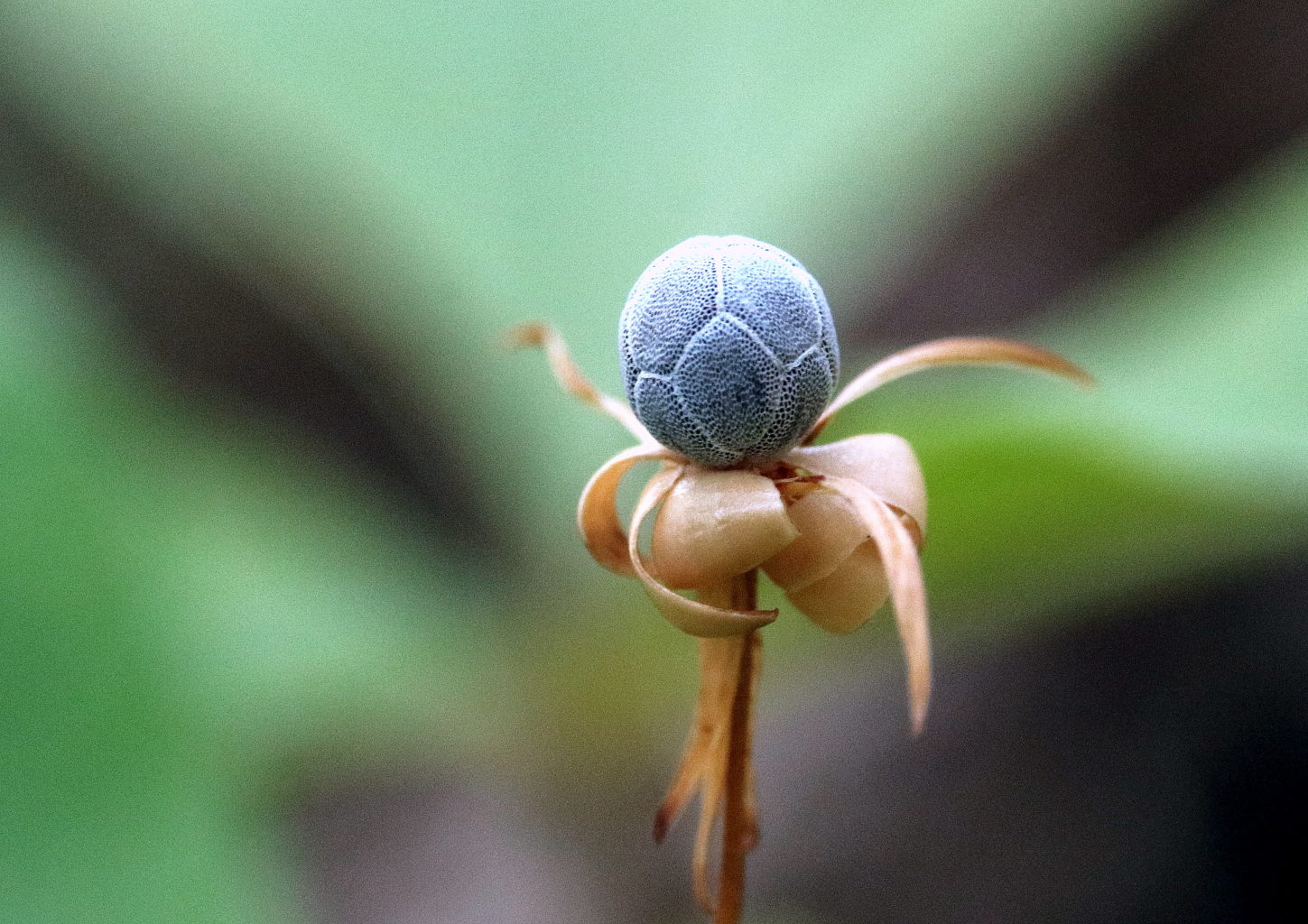 Valokuvaaja: hannu rasiranta