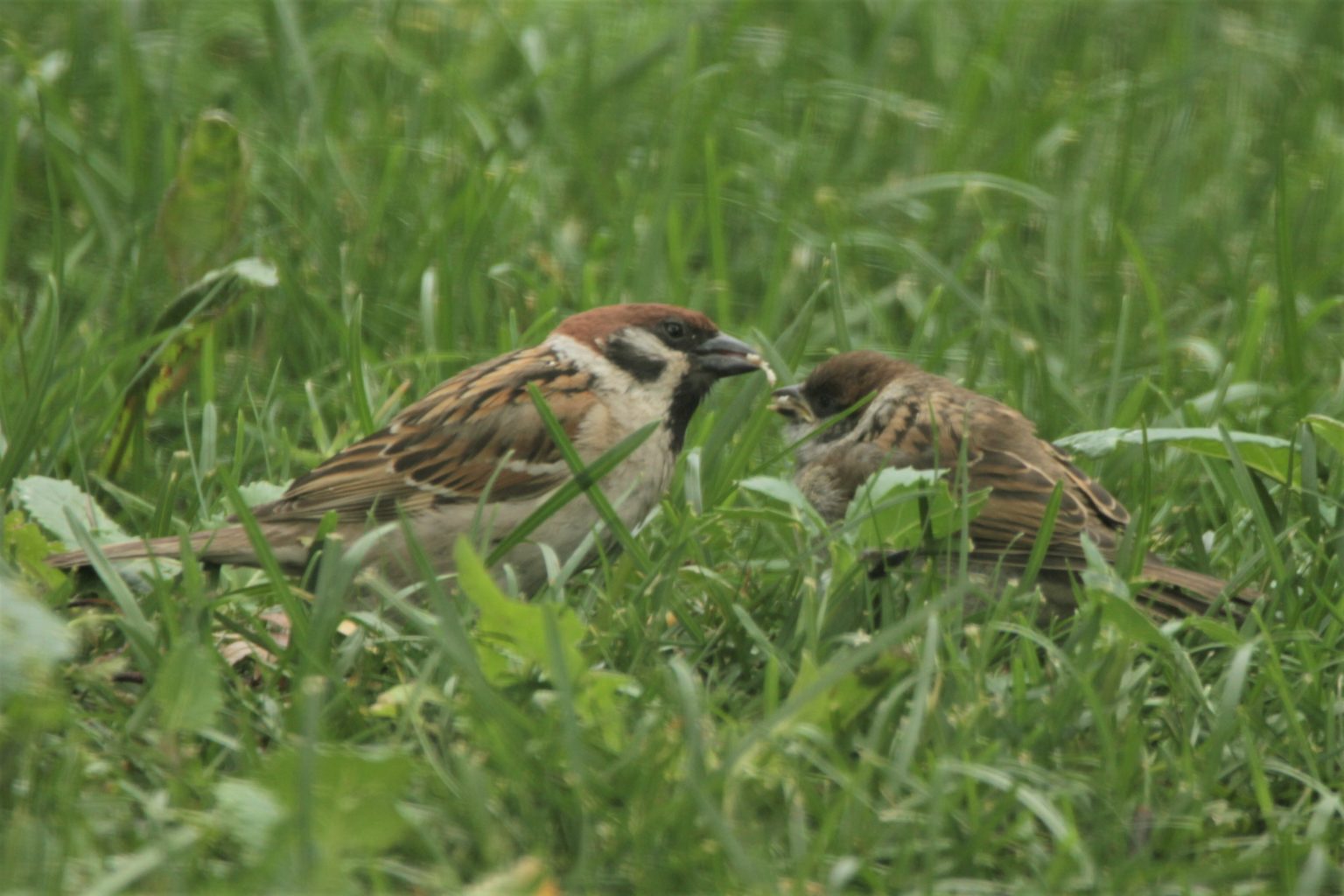 Valokuvaaja: Päivi Punta
