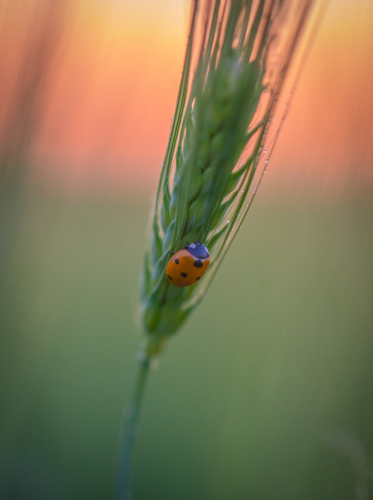 Valokuvaaja: Jukka Risikko Valokuvaaja: Jukka Risikko