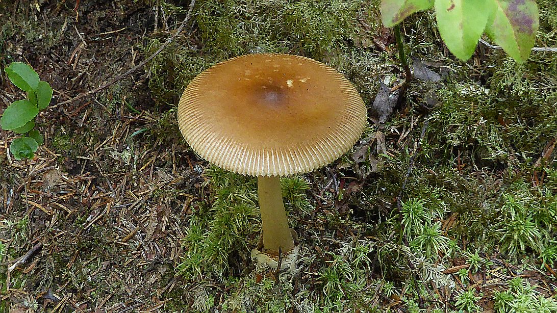 Valokuvaaja: Arja Valtonen