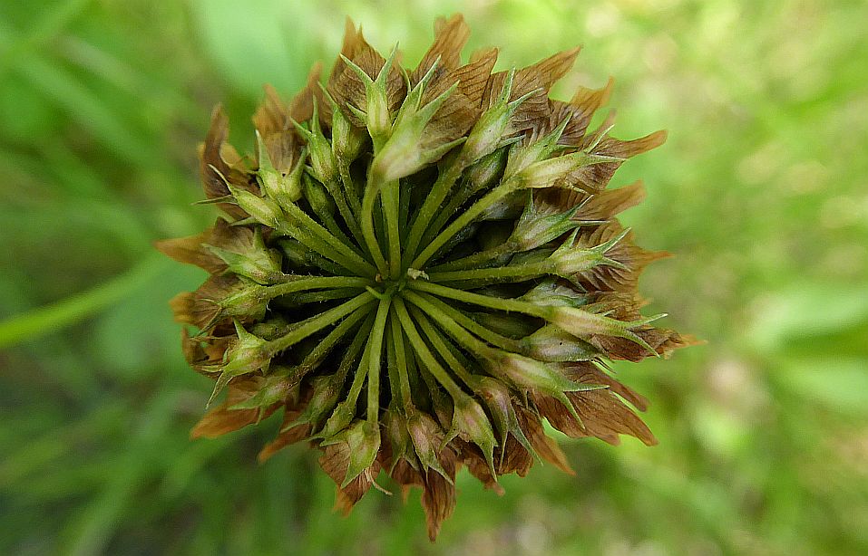 Valokuvaaja: Arja Valtonen