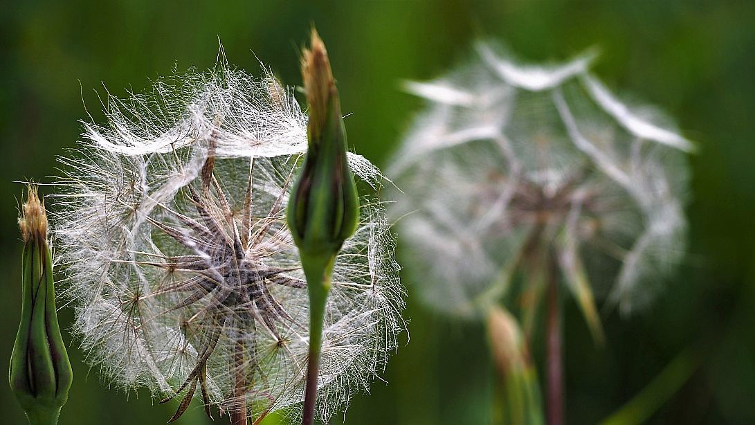 Valokuvaaja: Arja Valtonen