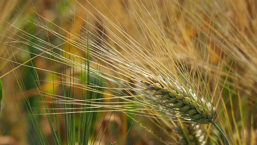 Valokuvaaja: Arja Valtonen