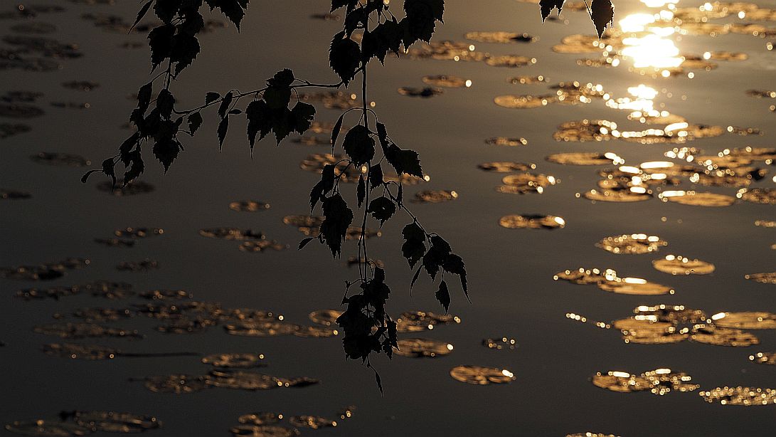 Valokuvaaja: Arja Valtonen