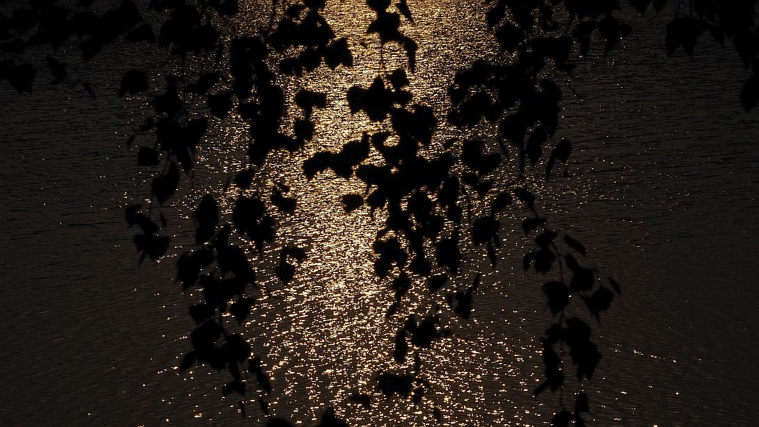 Valokuvaaja: Arja Valtonen