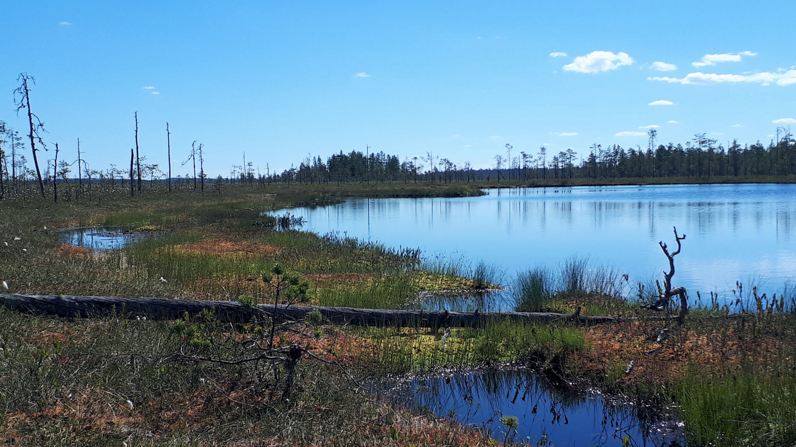 Valokuvaaja: Ahti Keränen