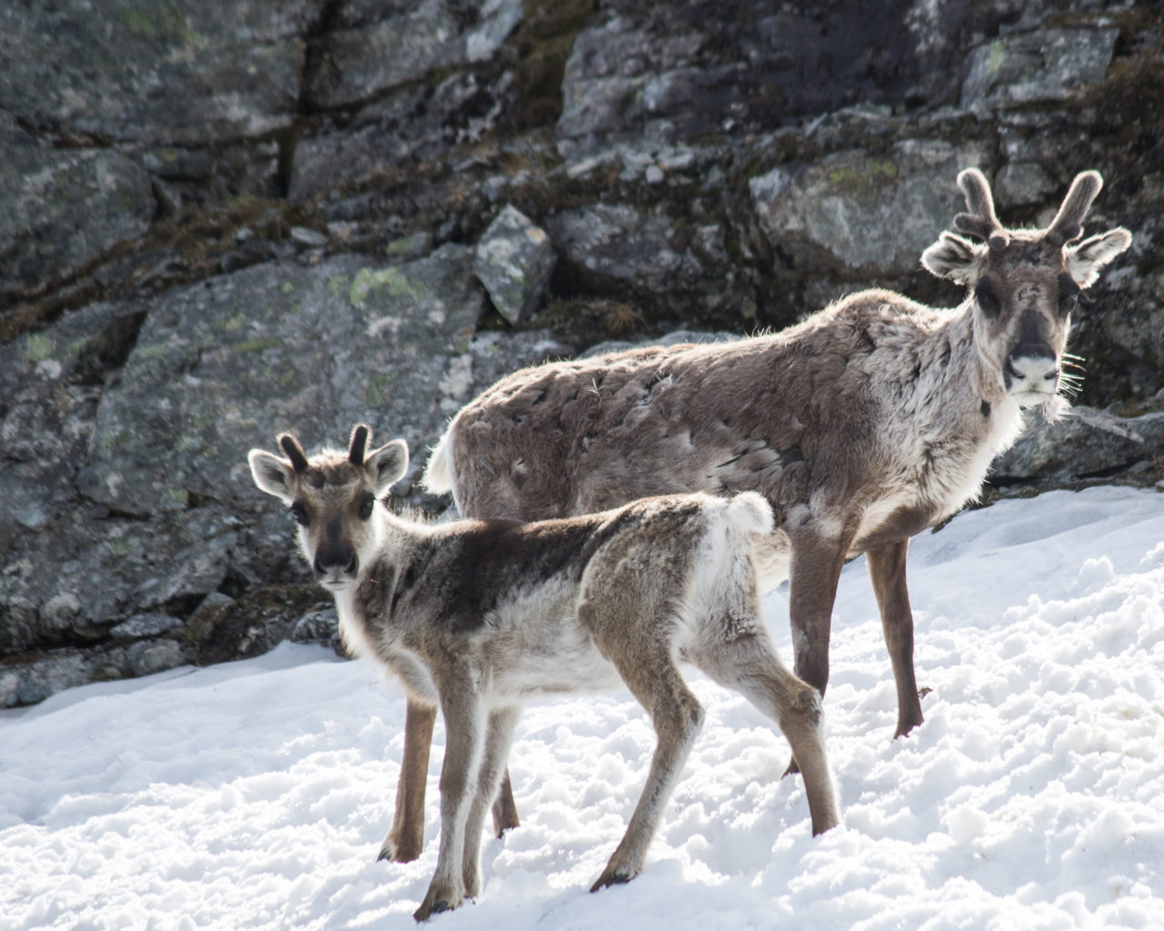 Valokuvaaja: Katri Niskanen