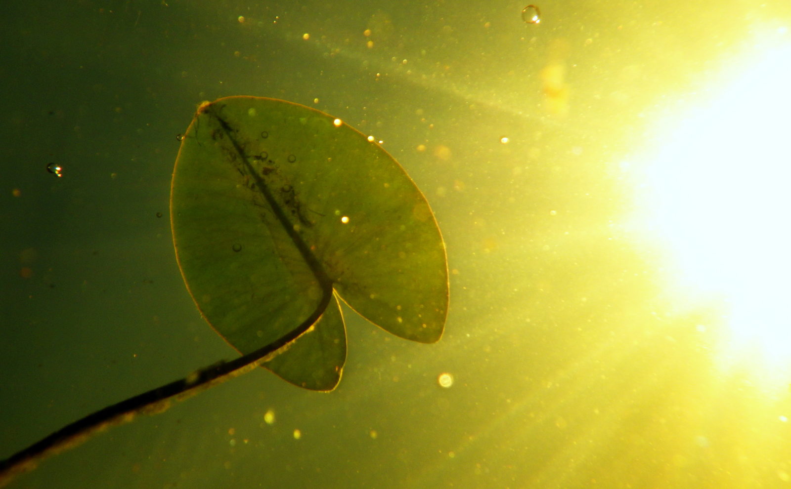 Valokuvaaja: Paula Savelius