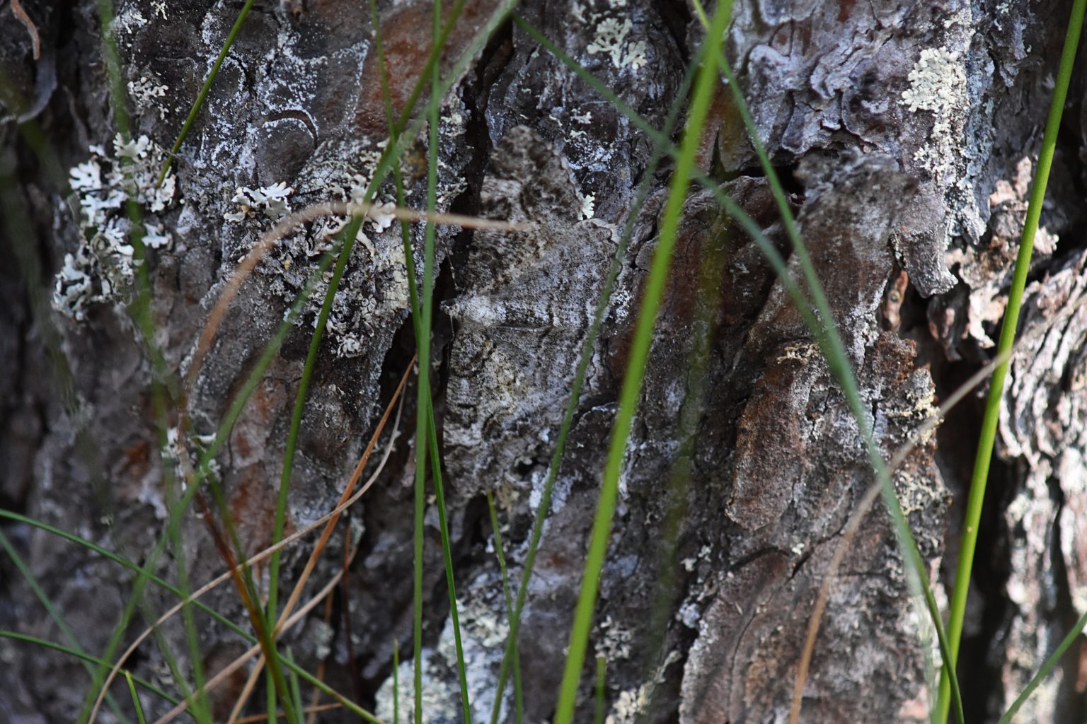 Valokuvaaja: Antti Kaskinen