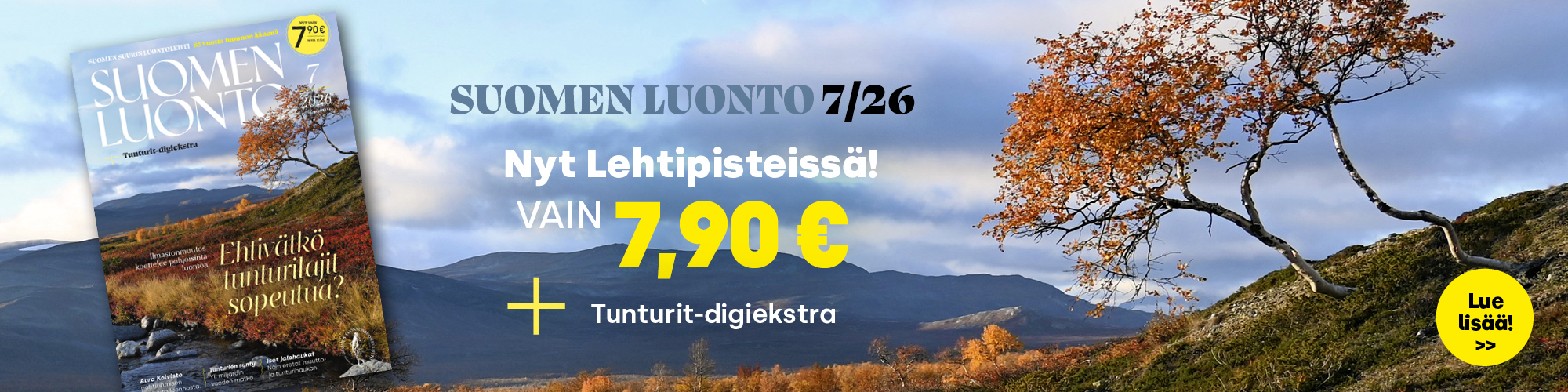 mainos