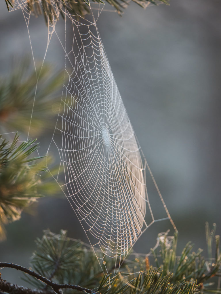 Valokuvaaja: Merja Ollikainen