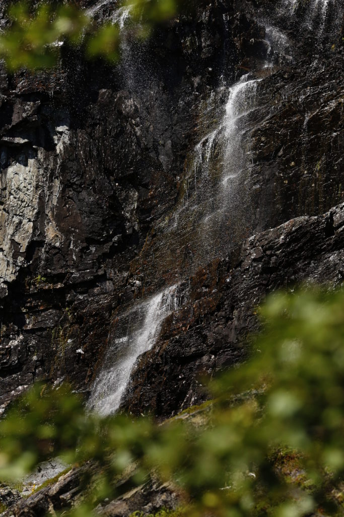 Valokuvaaja: Anne Moilanen