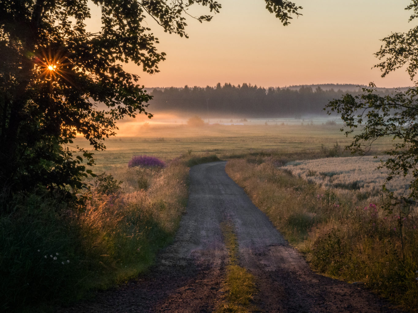Valokuvaaja: Iida-Liisa Paronen