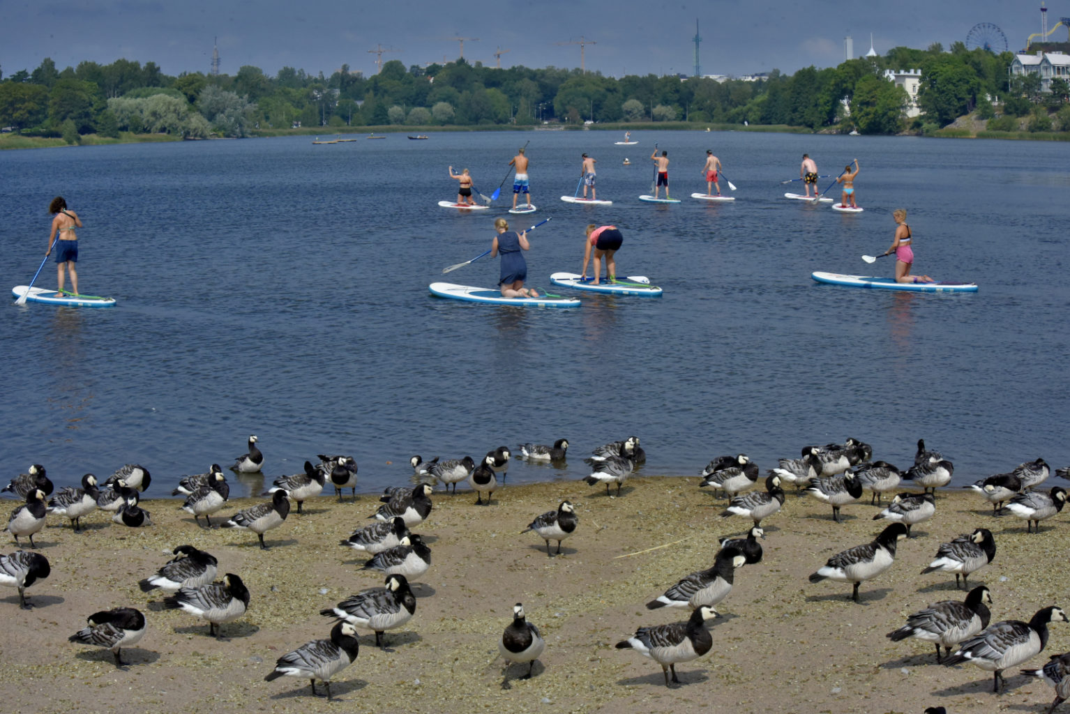 Valokuvaaja: Reijo Juurinen