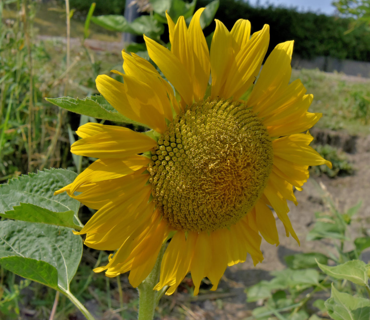 Valokuvaaja: Reijo Juurinen