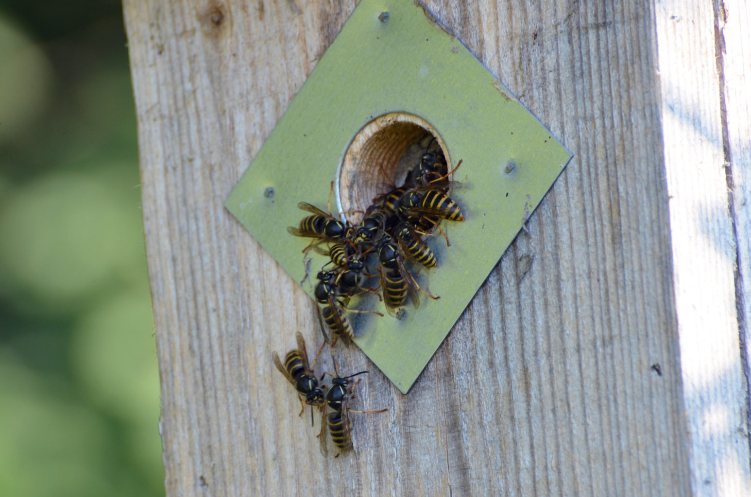 Valokuvaaja: Joni Sundström