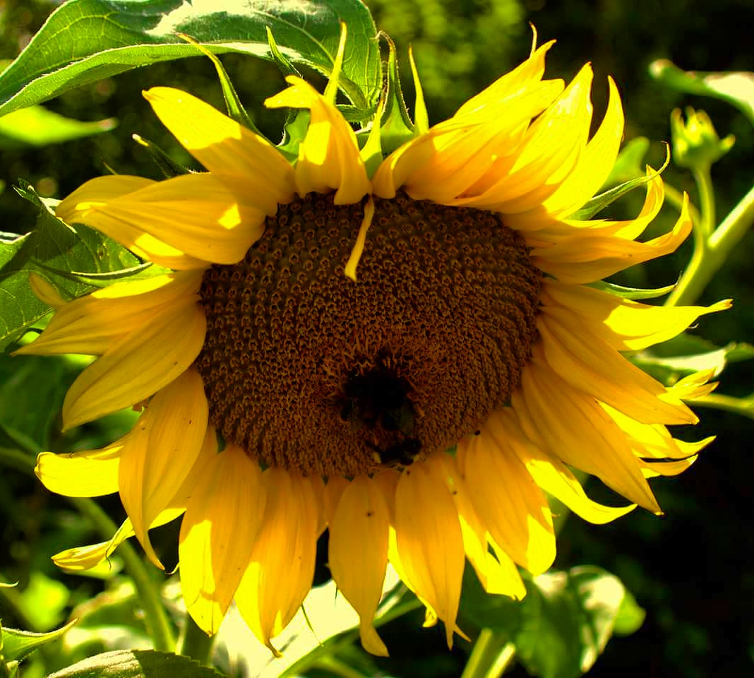 Valokuvaaja: Tapio Keinonen