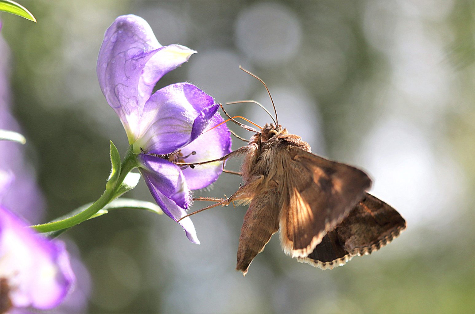 Valokuvaaja: Irja lehtinen