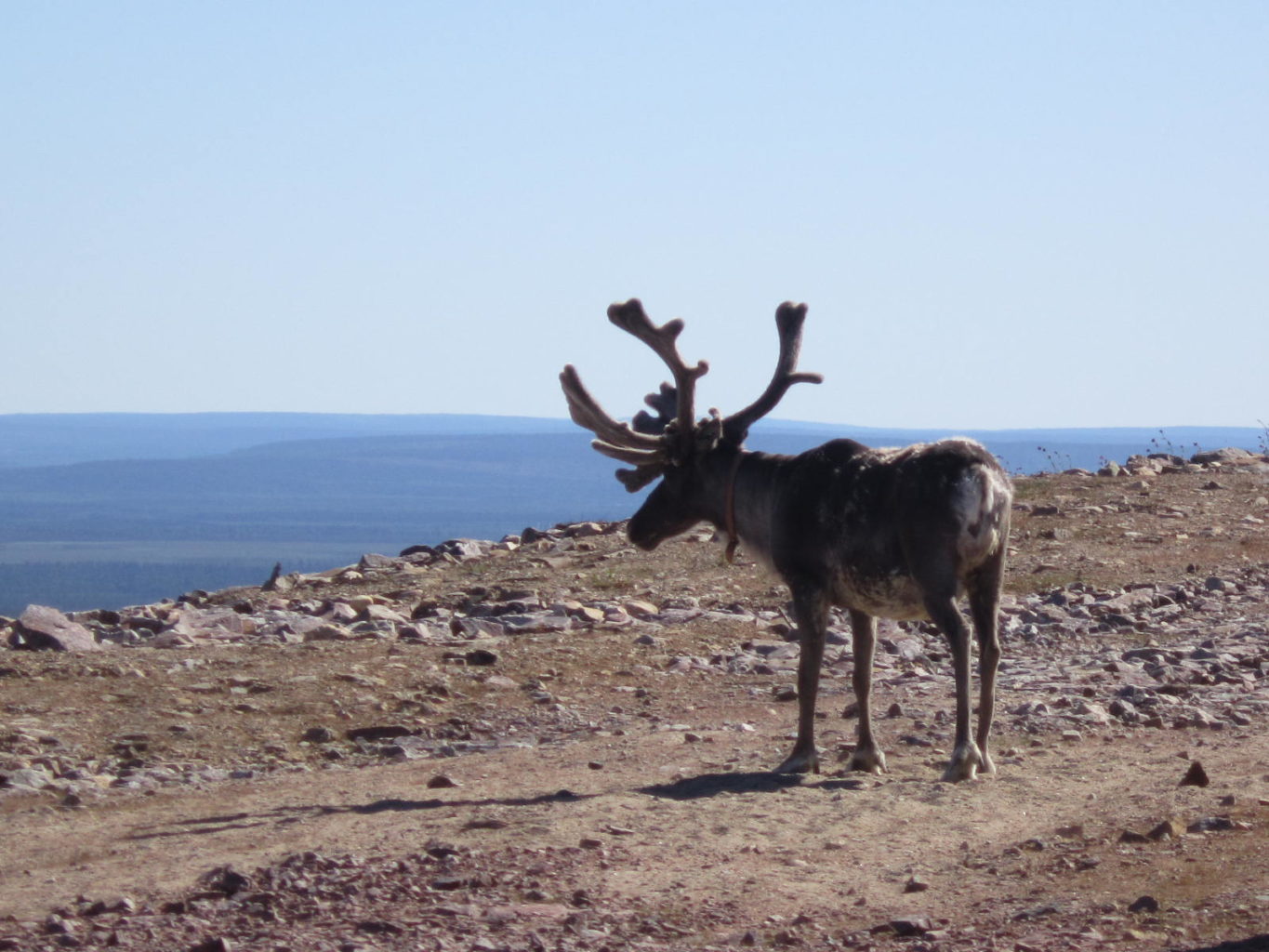 Valokuvaaja: Elina Kautto