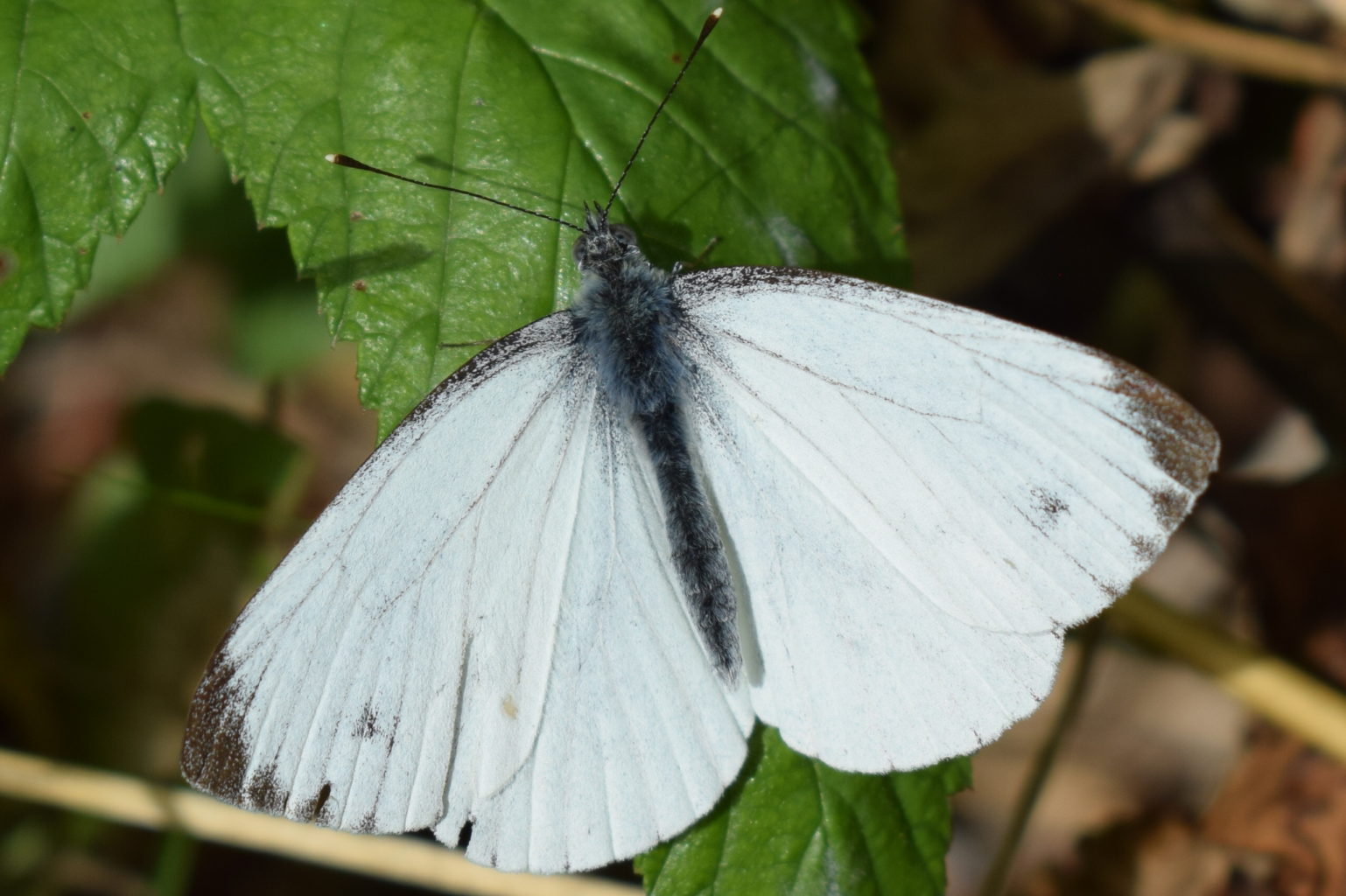 Valokuvaaja: Eila Ylönen