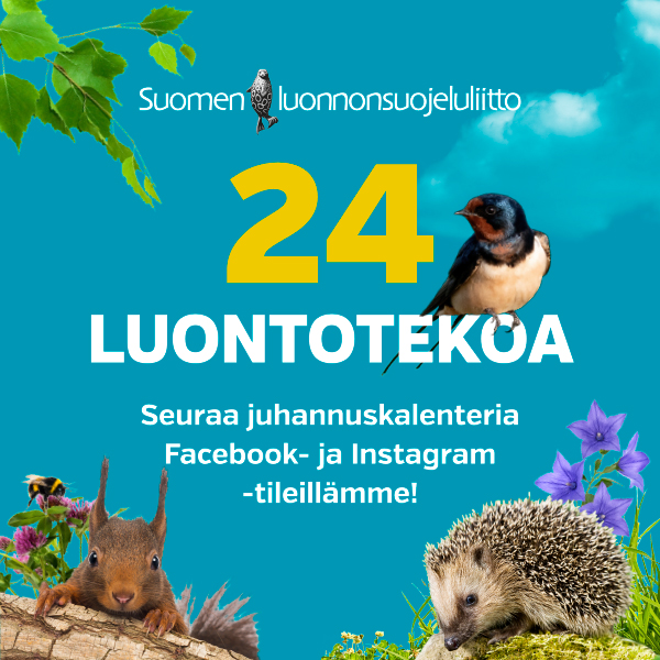 mainos