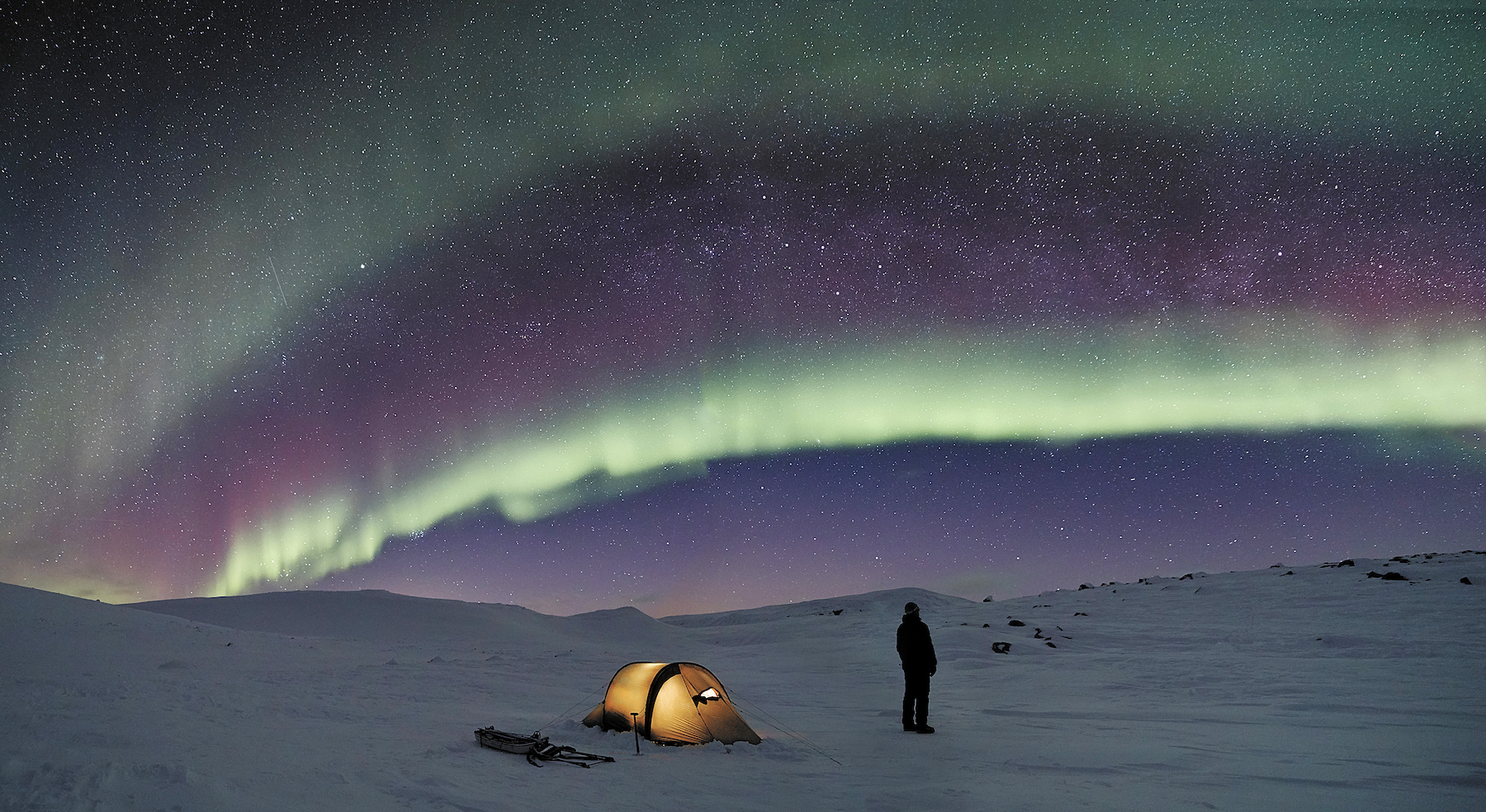 Tyynenä kevätyönä tunturissa kulkijan voi jälleen yllättää naalin kutsuhuuto