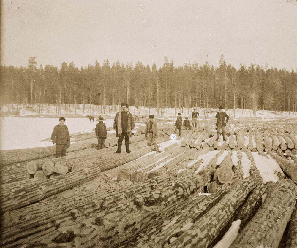 Onko Suomessa metsää enemmän kuin koskaan?